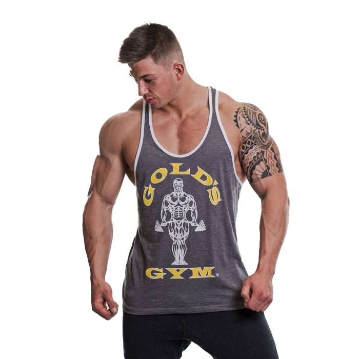 Stringer