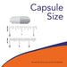 NOW Foods L-Proline 500 mg 120 Veg Capsules | Premium Supplements at MYSUPPLEMENTSHOP